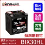 Bix Hl Bs Agm Sla Max Hd D