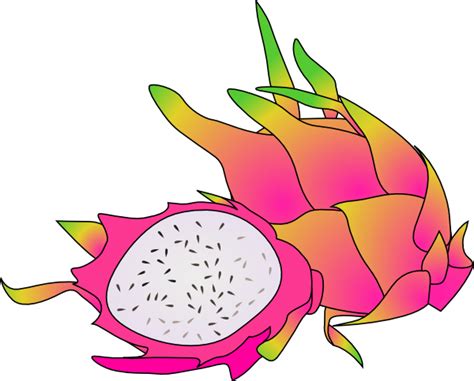 Dragon fruit clipart free