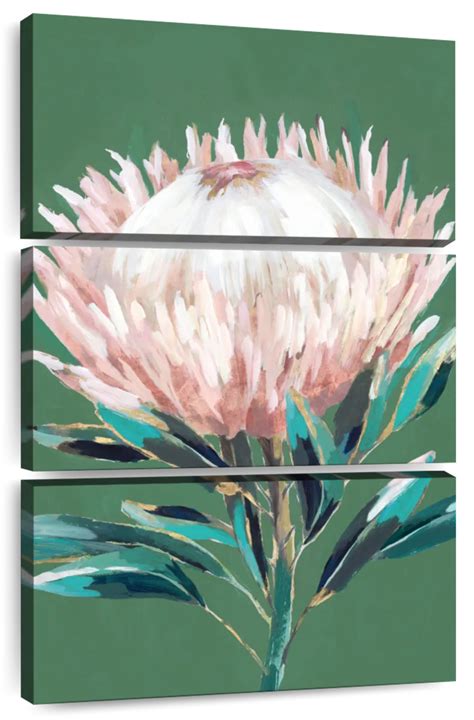 Single King Protea Wall Art Painting By Isabelle Z