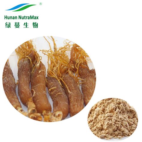 Korean Gingseng Root Extract Panax Ginseng Powder Ginsenosides 80