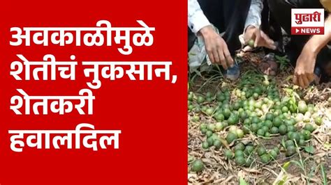 Pudhari News गोंदियातील शेतकरी चिंताग्रस्त अवकाळीमुळे मोठं नुकसान Farmer News Youtube