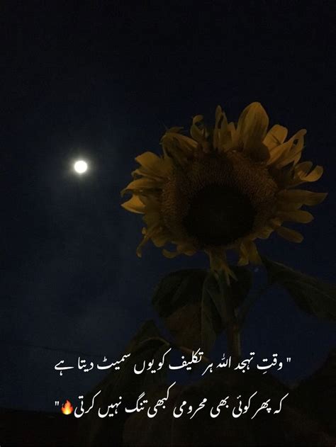 A Sunflower With The Moon In The Background And An Arabic Text On It