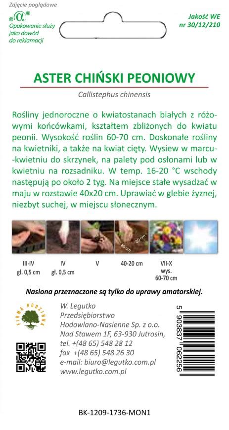 Aster chiński peoniowy biało różowy nasiona 1 g Legutko