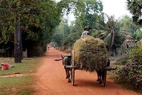 Tuk Tuk Reise Erkundung des ländlichen Lebens und der Seidenfarm Kunst