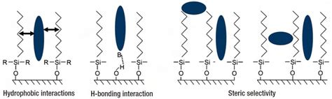 How to choose reversed-phase HPLC column C18, C8, C4