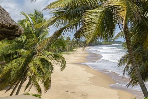 Axim Beach In Ghana West Africa Stock Photo Image Of Place Ghana