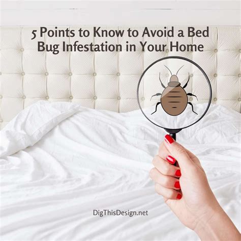 How To Protect Your Home From A Bed Bud Infestation Dig This Design