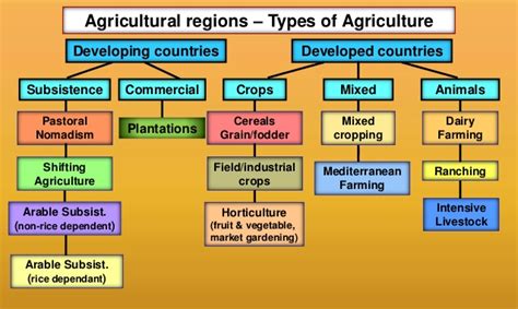 Four Types Of Agriculture