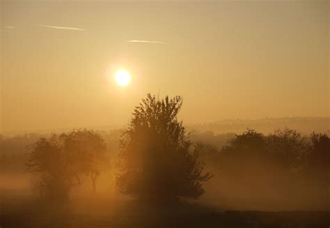 vom Aufgang der Sonne Foto & Bild | jahreszeiten, herbst, blumen Bilder ...