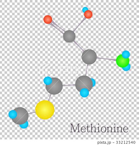 Methionine D Molecule Chemical Science Stock Illustration