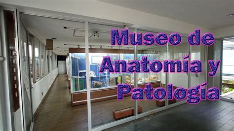 VISITA al MUSEO de Anatomía y Patología de la Facultad de Veterinaria