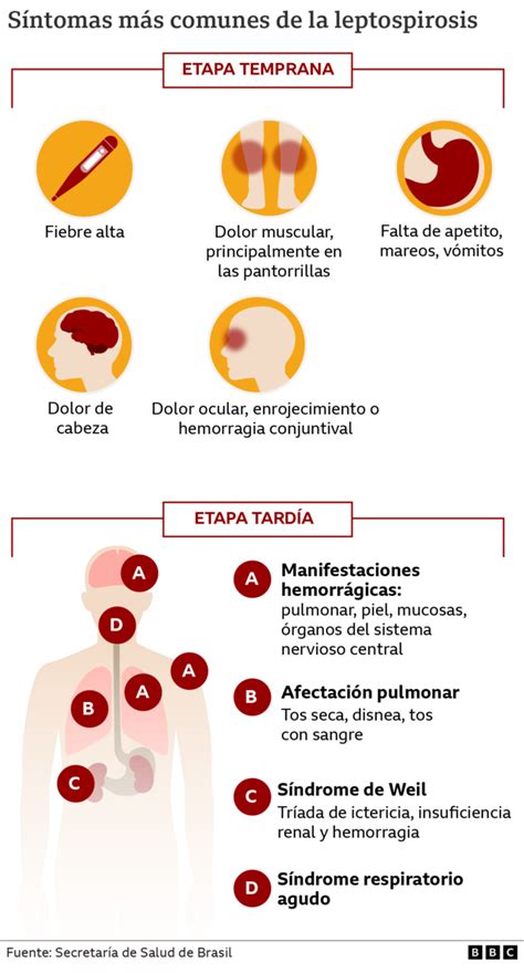 Leptospirosis Mi Diagn Stico Hubiera Sido M S R Pido Si No Existiera