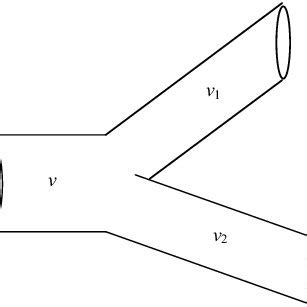 Bifurcation of ducts in the bronchial tree (schematic). Air flows with ...
