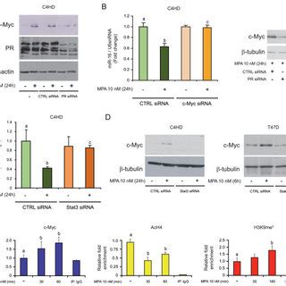 Progestins Modulate Mirnas Expression In Breast Cancer Cells A Heat