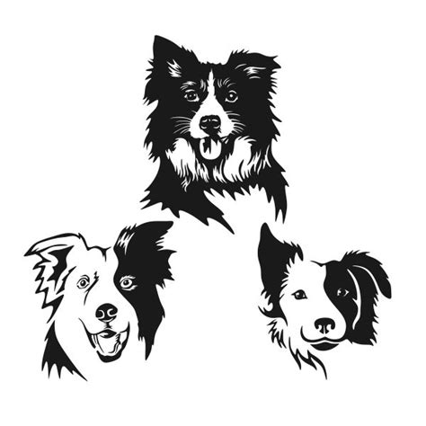 Puppy Art Dog Art Dog Drawing Portrait Drawing Border Collie Art