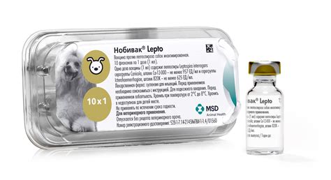 Нобивак® Lepto (Nobivac® Lepto) - MSD Animal Health Russia