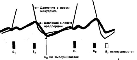 ФИЗИОЛОГИЧЕСКИЙ ТРЕТИЙ СЕРДЕЧНЫЙ ТОН