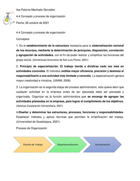 4 4 Concepto y proceso de organización Ilse Paloma Machado González 4