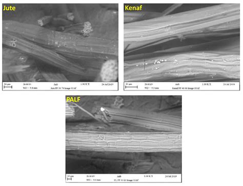 Polymers Free Full Text Assessing Mechanical Properties Of Jute