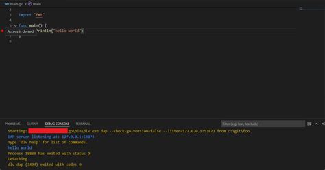 Visual Studio Code Vscode Not Hitting Breakpoints Using Go Lang