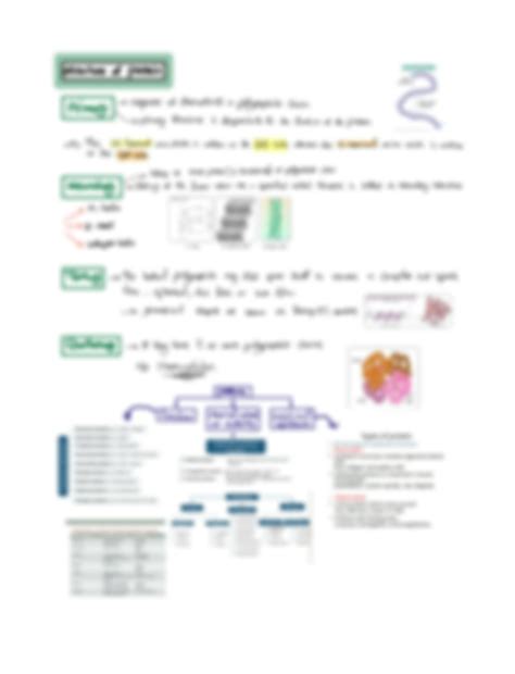 Solution Biochemistry Carbohydrates Proteins Lipids Note Studypool