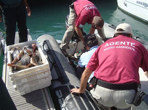 Decomisan En El Litoral Norte De Fuerteventura Kilos De Pescado