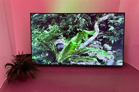 Nur Keine Hemmung Sex Now Im Nrw Forum D Sseldorf Ddorf Aktuell Internetzeitung D Sseldorf