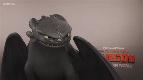 'How to Train Your Dragon: The Hidden World' - Toothless talks Academy ...