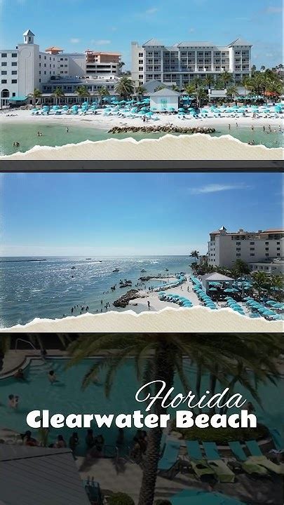 Discover Paradise ☀️🌴🌊 At Shephards Beach Resort In Clearwater Beach