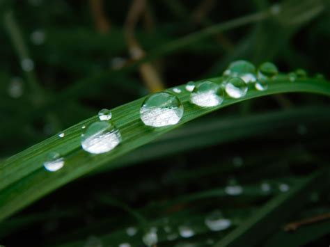Весели петъчни гатанки за водата