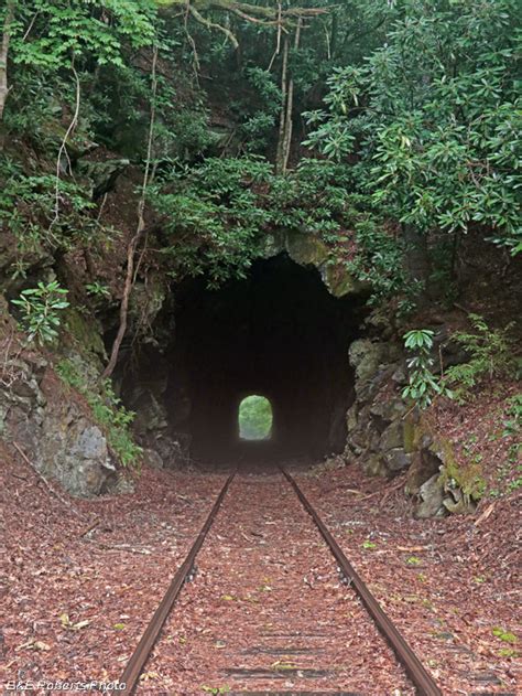 Abandoned Rr Tunnel