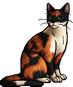 Tawnypelt - Warrior Cats Wiki - Erin Hunter, The Blazing Star, Dawn of the Clans