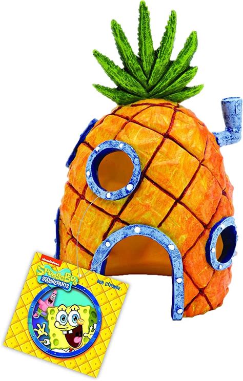 Amazon Penn Plax Sbr Eo Spongebob Squarepants Officially