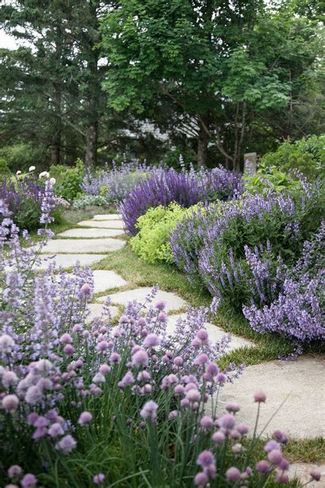 25 Lavender Garden Design Ideas – Thuy San Plus