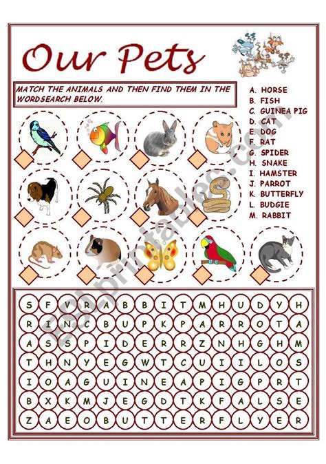 Our Pets Vocabulary Esl Worksheet By Valedanilova