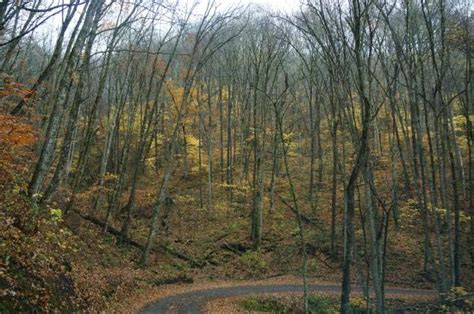 Balsam Mountain Road Great Smoky Mountains National Park All You