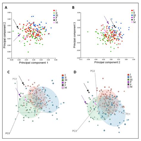 Visualization Of The Results Of The Principal Component Analysis Pca