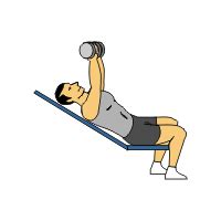 Over 20 Dumbbell Exercises Complete with Animated Diagrams - Sport ...