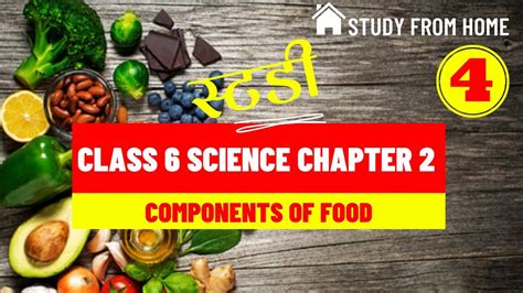 Class 6 Science Chapter 2 Components Of Food Part 4 Unschool