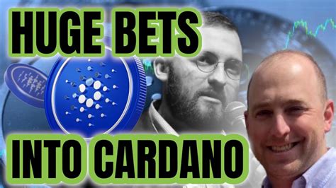 HUGE BETS ON CARDANO ADA FOLLOW THE MONEY AS INVESTORS ACCUMULATE