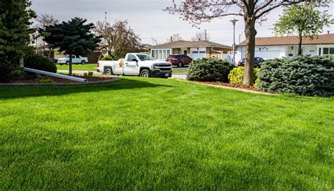 The Best Weed Prevention Methods for Your Lawn | Hometurf