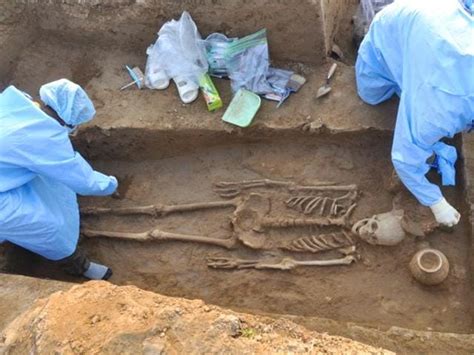 Dig This Yr Old Skeletons Found In Hisar Punjab Hindustan Times