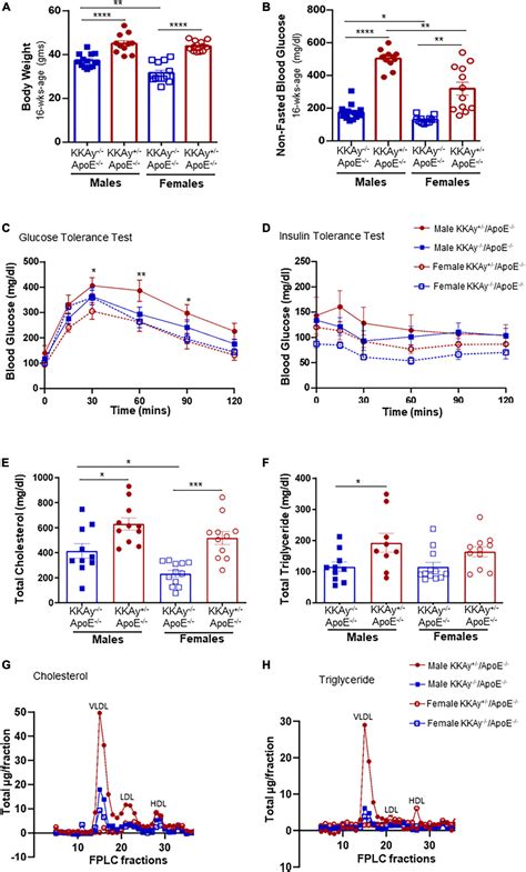 Frontiers Sex Specific Differences In Atherosclerosis Thrombospondin