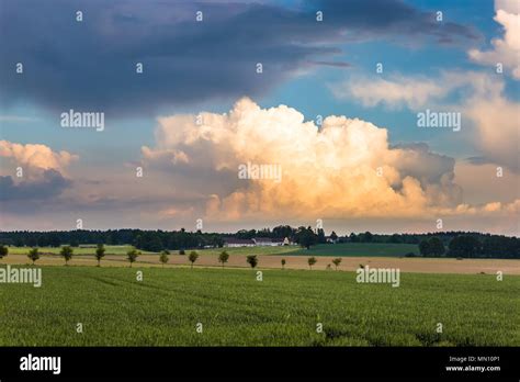 Summer Evening Landscape With Field And Dramatic Clouds Stock Photo Alamy