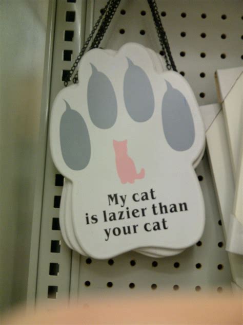 A Deep Analysis Of The Mud Water Vs Ryze Reddit Debate Today - RYZE Superfoods