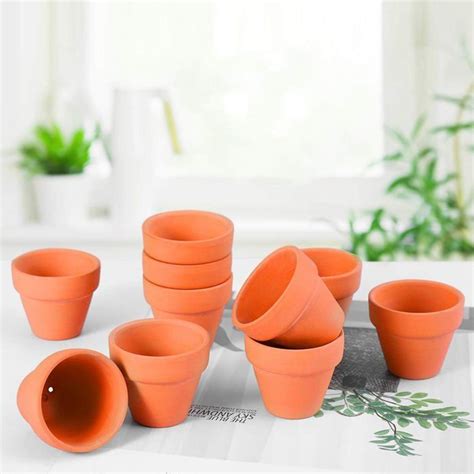 Lot De 20 Mini Pots En Terre Cuite Pour Plantes En Terre Cuite Cactus