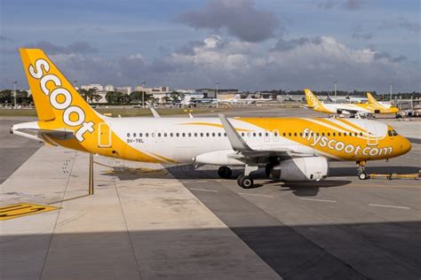 Scoot Airbus A Wl V Trl V Images Aviation Media