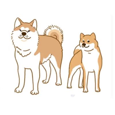 Differences Between An Akita Inu And A Shiba Inu