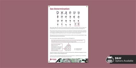 Sex Determination Information Poster Professor Feito