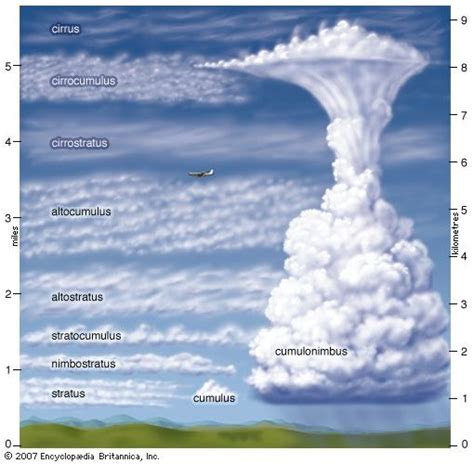 Cumulonimbus Clouds Diagram